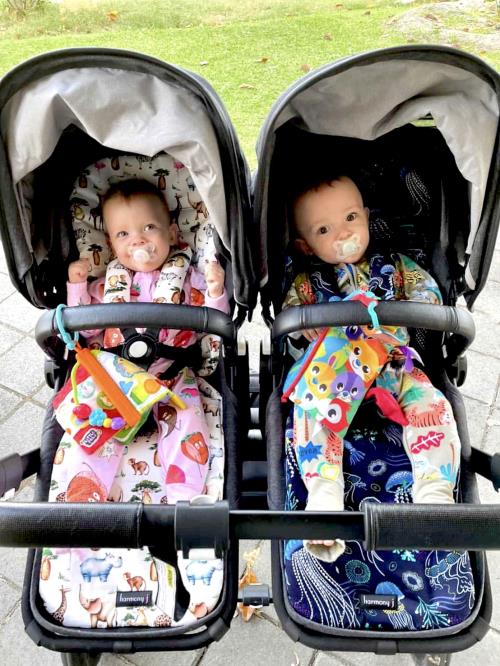 Two babies in a double pram with personalised pram inserts
